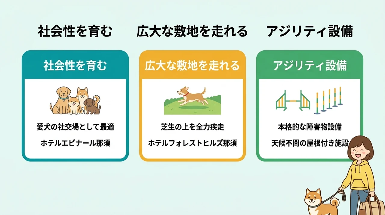 共用ドッグランで楽しむ交流型の宿