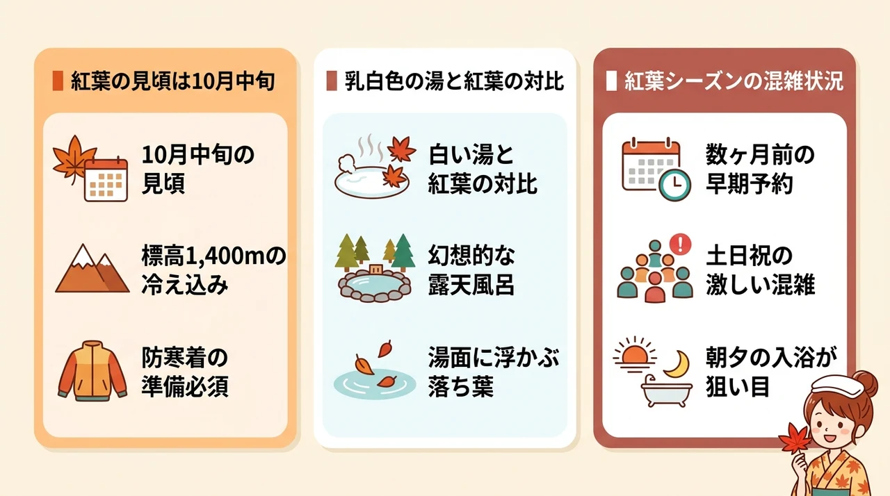 白骨温泉で紅葉が見える宿の魅力と見頃時期