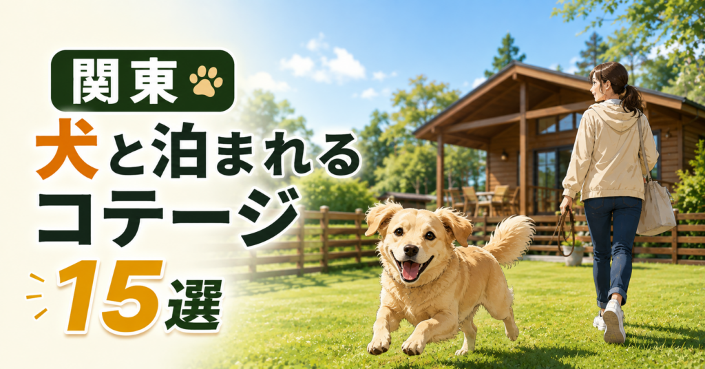 関東の犬と泊まれるコテージで、愛犬と女性がドッグランを楽しむ様子